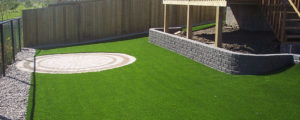Back Yard Grass & Patio