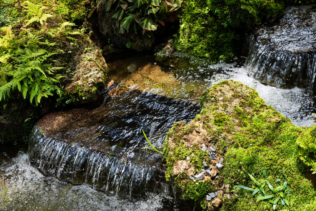 small garden waterfall