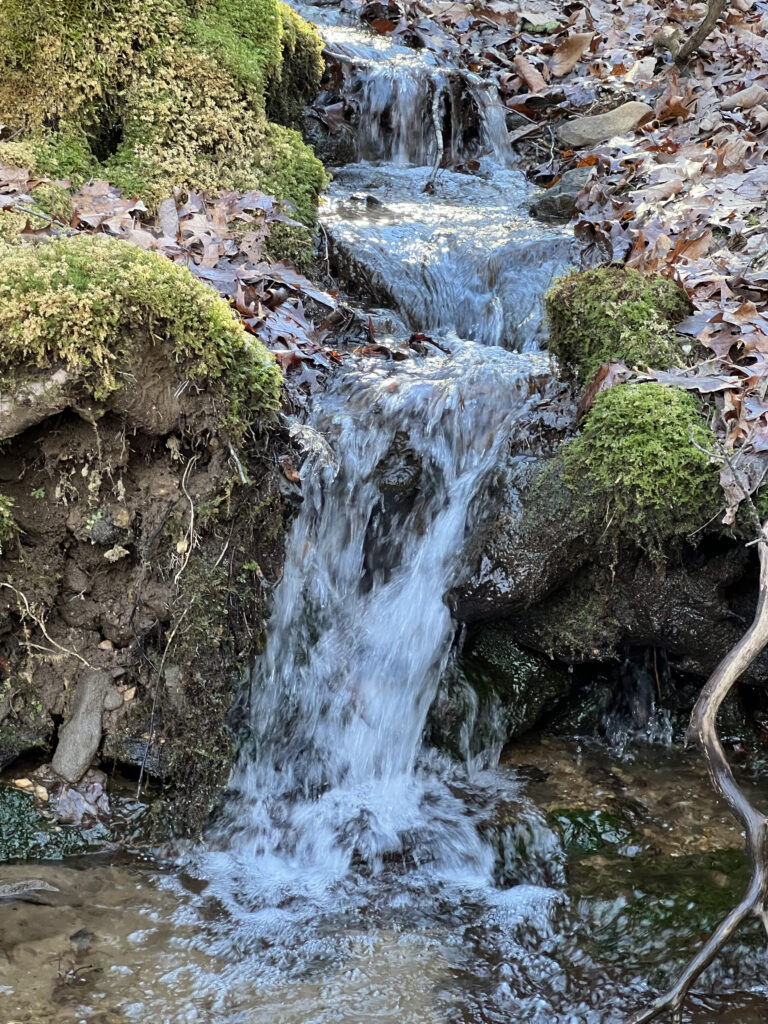 Backyard Waterfall